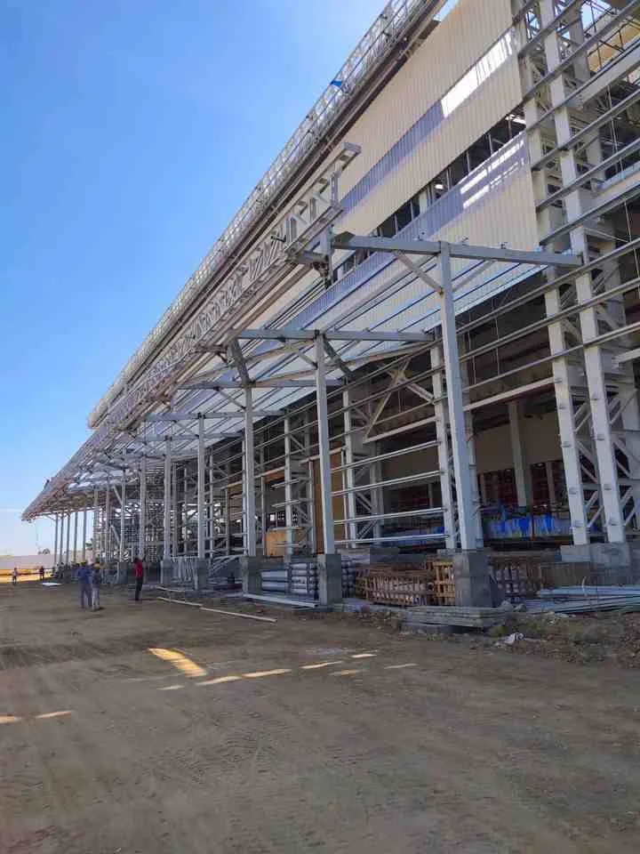 Indigo plant - Pudukkottai